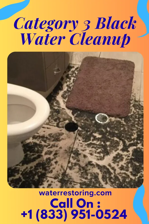 Category 3 Black Water Cleanup in Vanceboro, NC