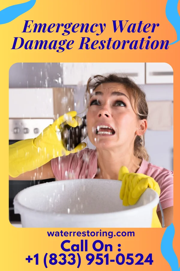 Emergency Water Damage Restoration in Vanceboro, NC