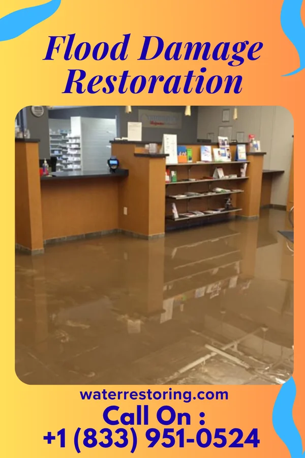 Flood Damage Restoration in Vanceboro, NC