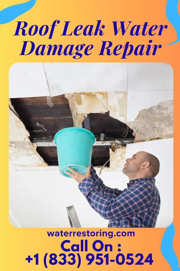 Roof Leak Water Damage Repair in Vanceboro, NC