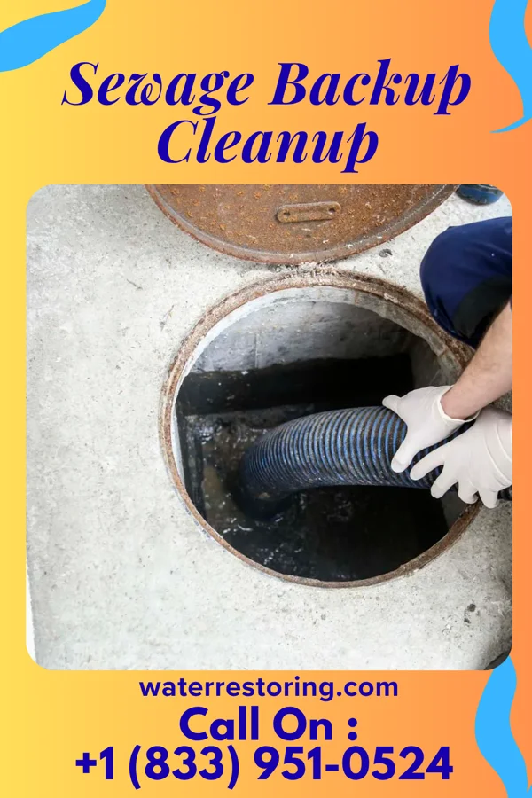 Sewage Backup Cleanup in Vanceboro, NC